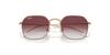 Sunglasses MINI JIM 49 RJ9594S [Ray-Ban] 291/8H