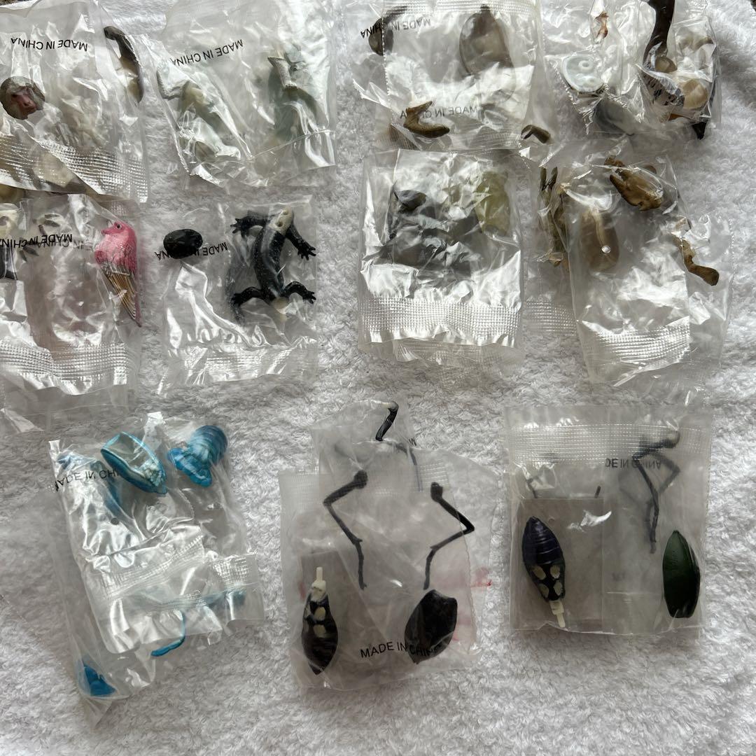 

[Б/У] Музей капсульных фигурок: 11 видов японских животных: Тохоку/самые северные обезьяны