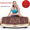 Brangdy Full Body Vibration Fat-Loss Machine CN plug (adapter included)