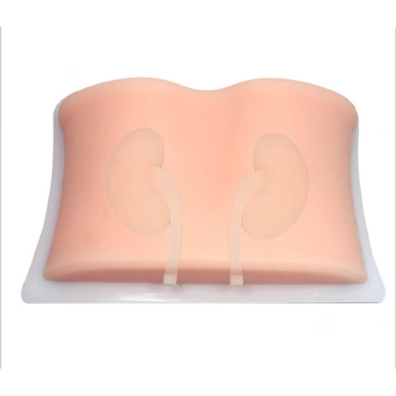 Ultrasound-Guided Renal Puncture Training Model