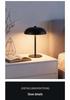 Nordic Minimalist Metal Touch Desk Lamp with USB Charging