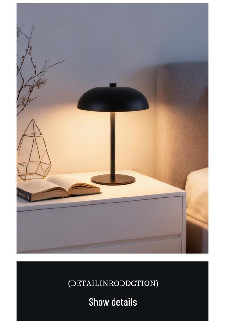 Nordic Minimalist Metal Touch Desk Lamp with USB Charging