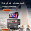SAST SW-868 Portable KTV Speaker System with Microphone (CN version)