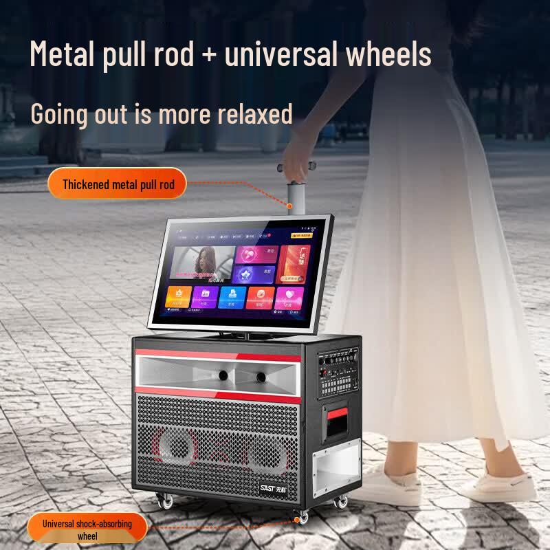 SAST SW-868 Portable KTV Speaker System with Microphone (CN version)