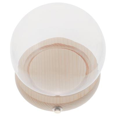 1 Set Konservierte Blume Staubdichte Glasglocke Vitrine Transparente Glasabdeckung Holzsockel Dekorative Ewige Blume Auslage