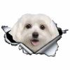 LYKX Lovely Maltese Pet Dog Car Sticker Decoration Waterproof Window Boot Decal Motorcycle Cover Scratch PVC Decals