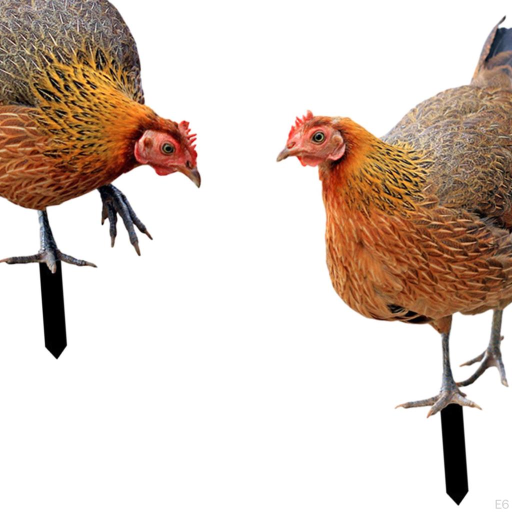 Animal Statue Stakes Realistic Chicken Sculpture Rooster Stake Garden for Lawn Yard