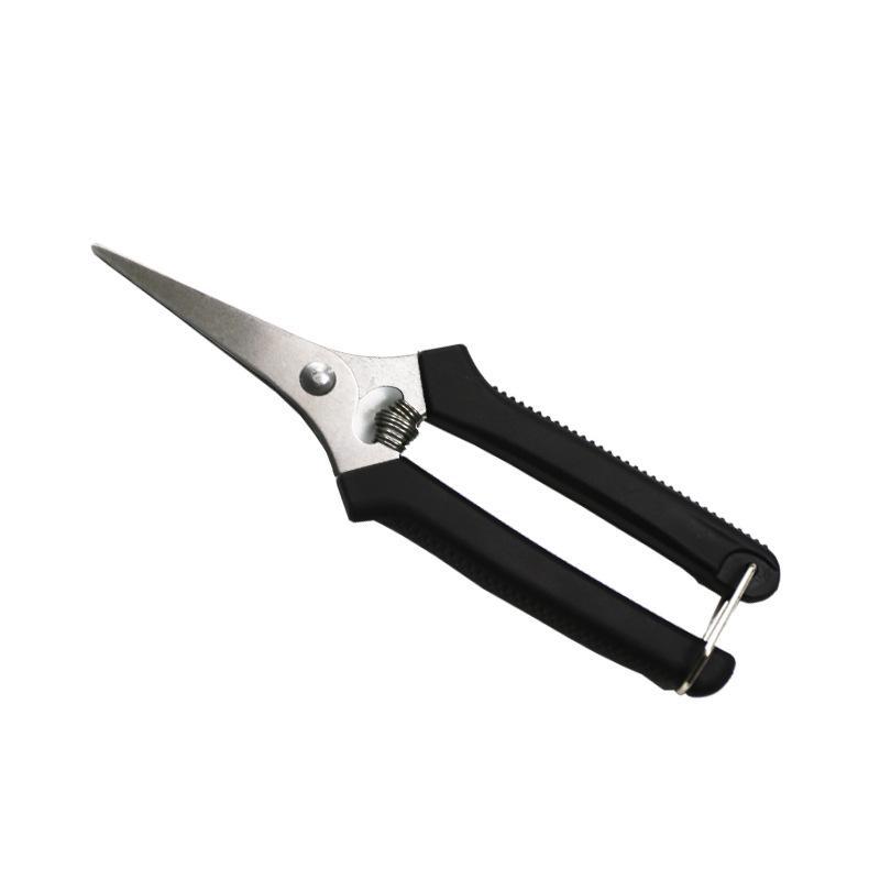 Stainless Steel Fruit Picking Shears With Sharp Blades Non Slip Handles For Gardening Harvesting Fruits Vegetables Flowers