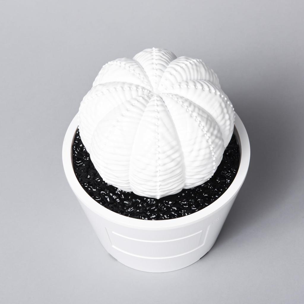 MEDICOM TOY BOTANIZE VCD Euphorbia obesa gloss WHITE Medicom Toy BOTANIZE collaboration Euphorbia obesa figure [Limited Sale] × var. & (white)