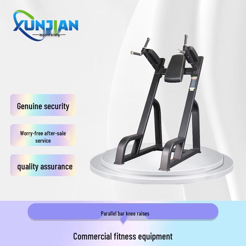 

Commercial Dip Station with Leg Raise