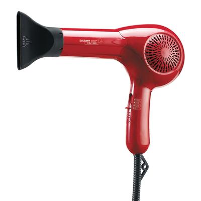 Professional Hair Dryer YB-1360