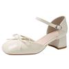 Sandal girl 2025 new pointed thick heel with skirt gentle single shoe fashion low heel bag head fairy style versatile