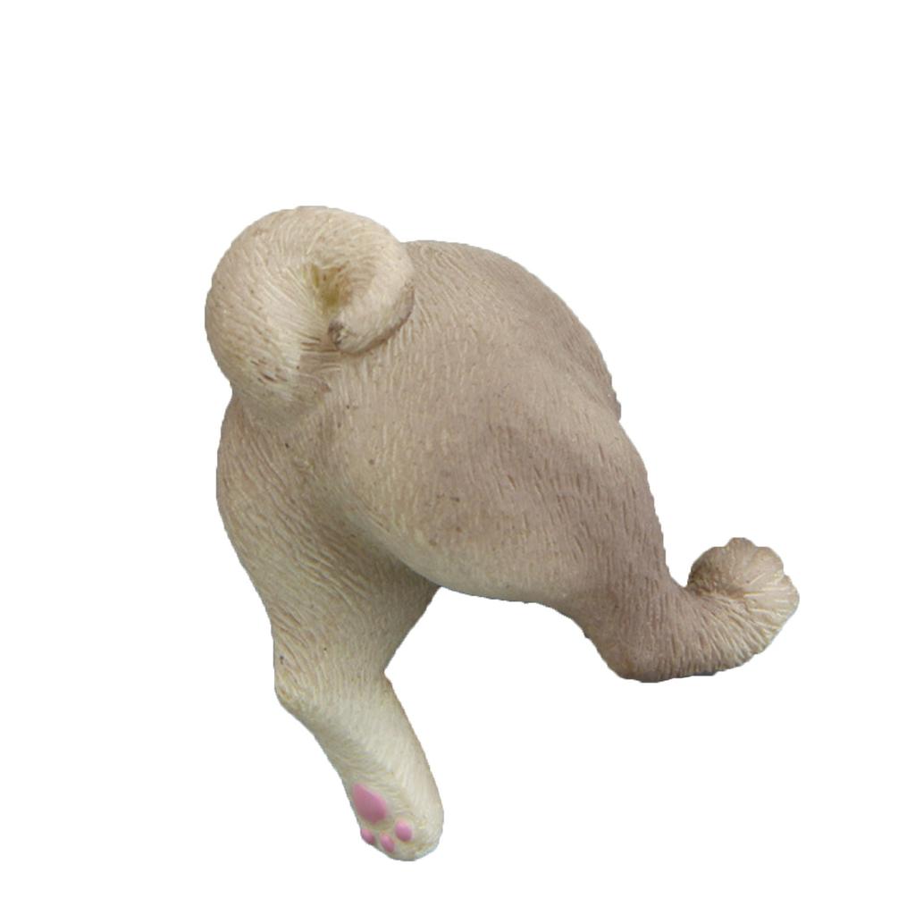 (SU)Magnety na kočičí zadek Lednička Praktické dekorace na ledničku Magnetické dekorace