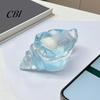Relaxation Desk Toys Clear Conch Stress Relief Toy, Sea Snail Squeezable Fidget Kids Toy Stretchy Sensory for Anxiety & Hand Exercise Calming