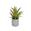 1:6 Dollhouse Miniature Potted Plant Green Leafed Plant Pot Bonsai Home Garden Decor Toy Doll House Accessories