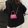 2024 French Chic Mini Textured Bow Crossbody Bag for Women