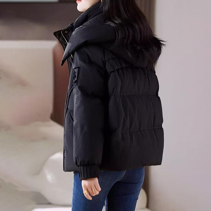 Coat for Women Fleece Thickened Plush Autumn Winter Hat Waterproof Casual Down Jacket