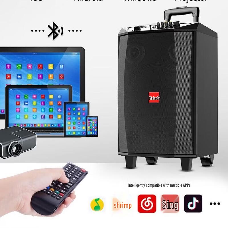 Malata Jujiang M+9051E 12-inch Portable Bluetooth Karaoke Speaker (CN Version)