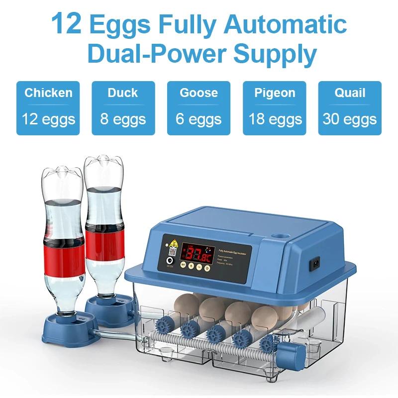 Egg Automatic Incubator for Egg Brooder 110V 220 V Power Plug Dual Duct Warm Air Internal Circulatio Automatic Hatching Egg Farm