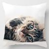 Cute Kitty Series Decorative Pillowcase Office Decoration Living Room Bedroom Children's Room Home Decoration Pillowcase