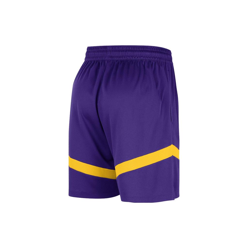 Nike Los Angeles Lakers Dri-FIT NBA Color Block Logo Training Straight Leg Basketball Pants Men bottoms Deep-Purple DZ3722-504