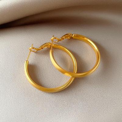 Elegant Silver Needle Round Hoop Earrings - High-End, Versatile Jewelry