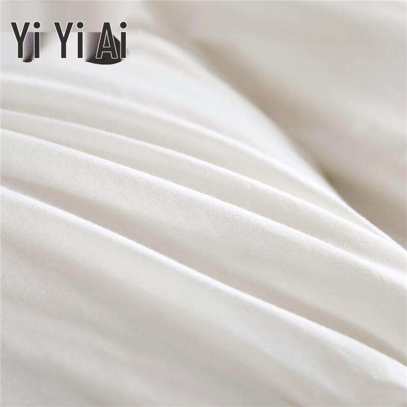 Yiyiai White Goose Down Winter Duvet