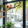 Simulation of Squirrel Branches - Three-dimensional Forest Animal Glass Transparent Window Sticker