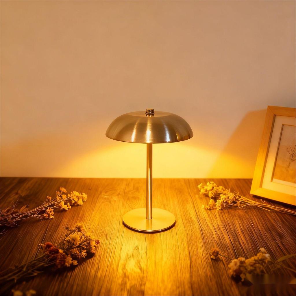 Nordic Minimalist Metal Touch Desk Lamp with USB Charging