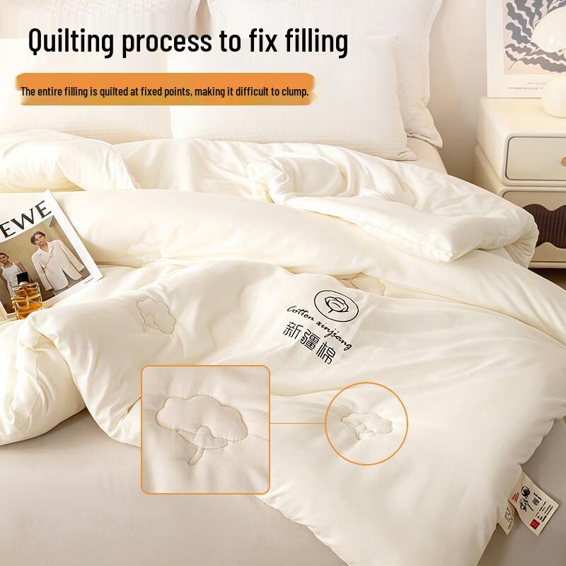 Shixun Winter Warm Cotton Comforter