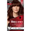 1f Hair Dye Brillance 869 Kastanienbraun