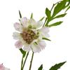 Hill Interiors The Natural Garden Collection Scabious Stem Artificial Plant