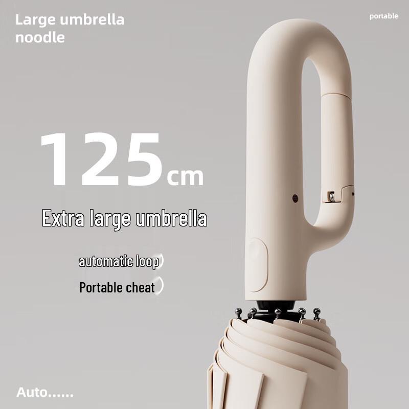 Fully Automatic 10-Rib Business Travel Umbrella