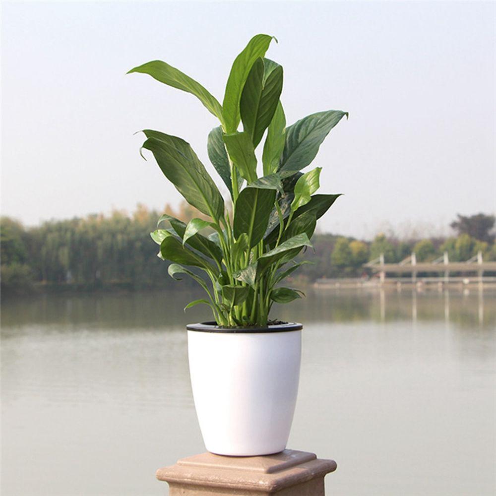 Plastic Garden Supply Office Desktop Decoration Plants Basket Flower Pots Planter Home Decor