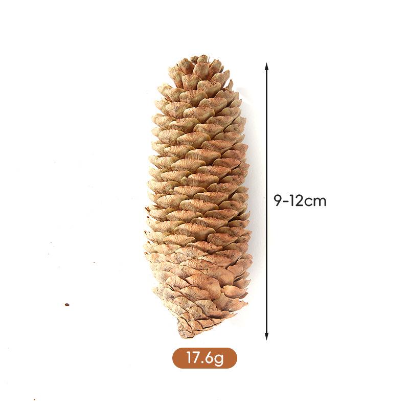 Conuri de Pin pentru Decorațiuni de Crăciun 1-18CM: Figurine creative și accesorii pentru fotografie