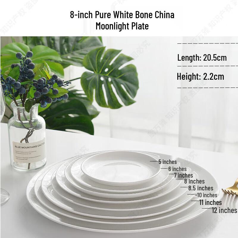 Chuwanya Bone China Dinner Plates