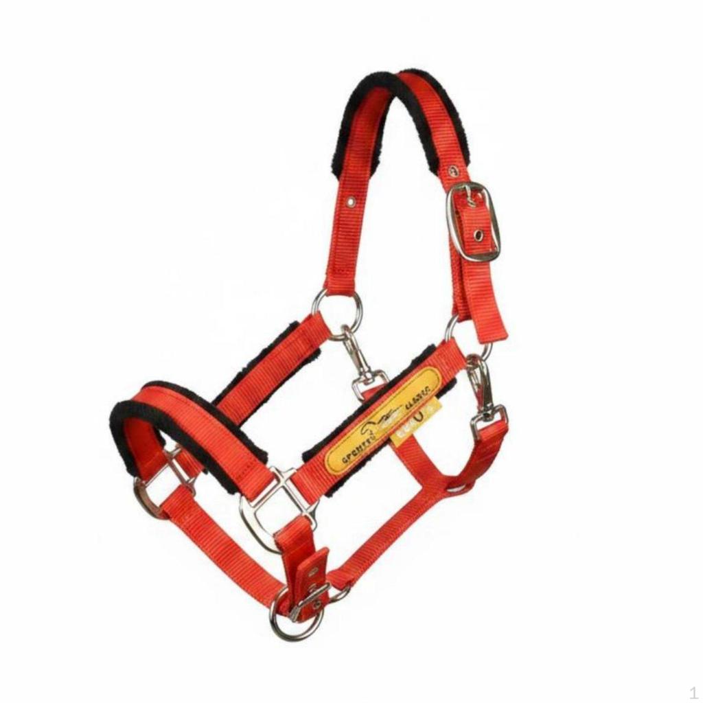 Padded Horse Halter AntiRub Equine Prevents Rubs Headcollar for Leading, Training,