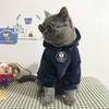 Soft Fleece Jacket Winter Hairball Pajamas Cat Hooded Hairball Coat Puppy Clothing Pet Clothes
