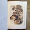 [USED] CLASSIC NATURAL HISTORY PRINTS MAMMALS