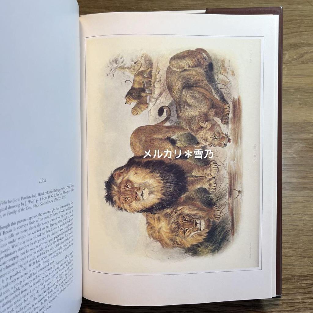 [USED] CLASSIC NATURAL HISTORY PRINTS MAMMALS