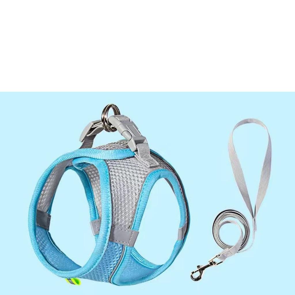 רתמת כלבים לכלבים קטנים חתולים רתמה ורצועה לחיית מחמד רפלקטיבית סט מתכוונן לנשימה חזה לחיות מחמד רצועה אביזרים לכלב