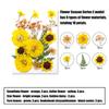 205Pcs Pressed Dried Flower For Resin Natural Dry Flower Leaf with Tweezers Sticker for Art Craft Candle Jewelry Making