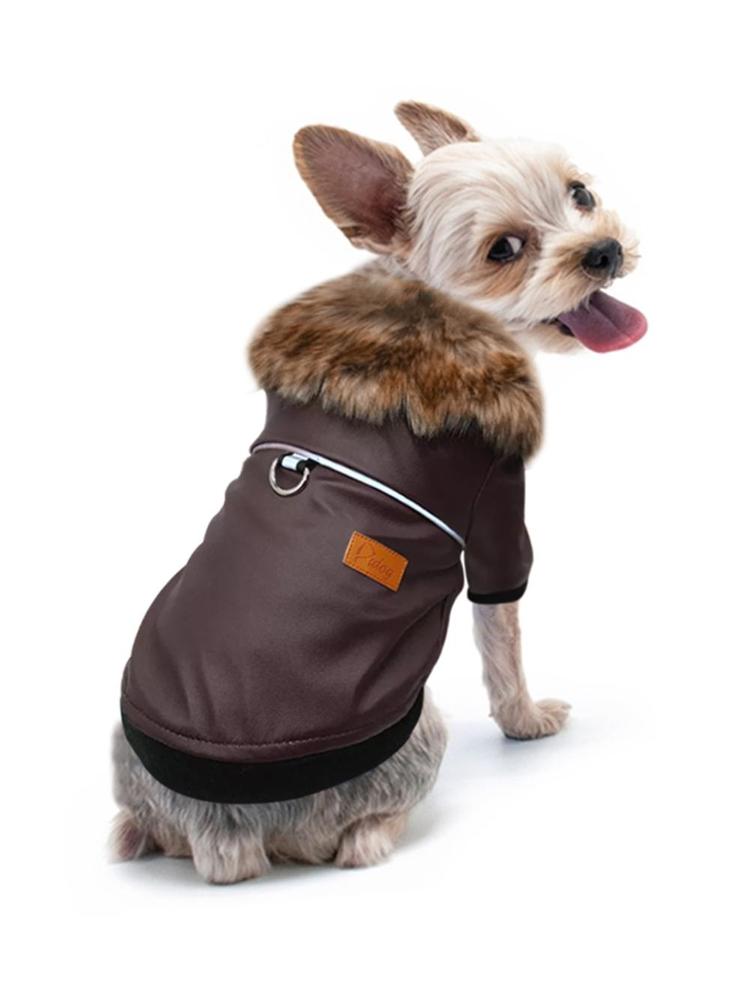 dog pilot jacket