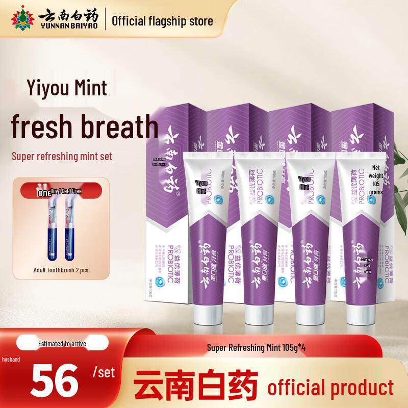 Yunnan Baiyao Yiyou Mint Toothpaste (4-Pack)