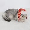Versatile Halloween Xmas Pet Cat Dog Teddy Plush Hat Wizard Pumpkin Headgear Caps