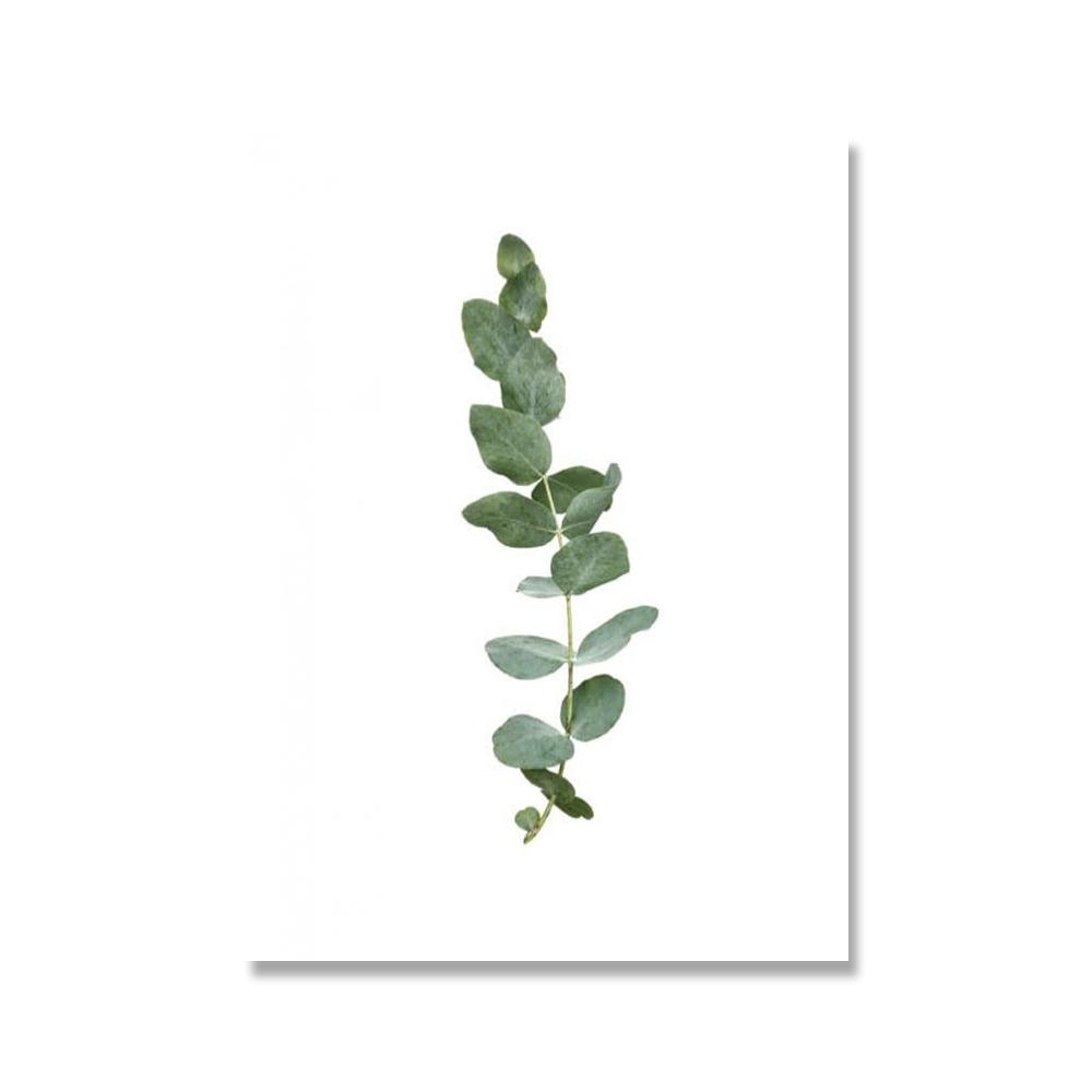 Green Leaf Plant Canvas Painting Botanical Nordic Wall Art Poster and Print Scandinavian Decoration Picture Artwork Home Decor No Frame