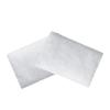 Packung mit 10 Hocheffizienten HEPA-Filterpads für S9 AirSense 10 AirCurve 10 BiPAP-Geräte Weiße Baumwollmaterialien