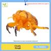 Realistic Insect Figure Collection Set Wasp Mantis Cicada Pupa Rhinoceros Beetle Nature Model Toy Gift For Fans Collectors