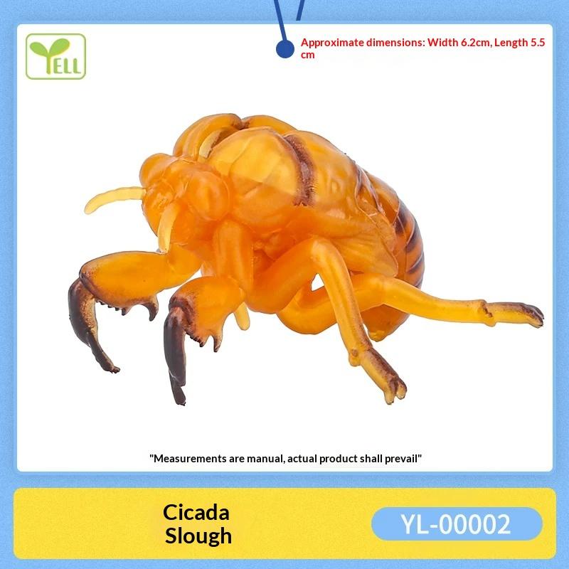 Realistic Insect Figure Collection Set Wasp Mantis Cicada Pupa Rhinoceros Beetle Nature Model Toy Gift For Fans Collectors