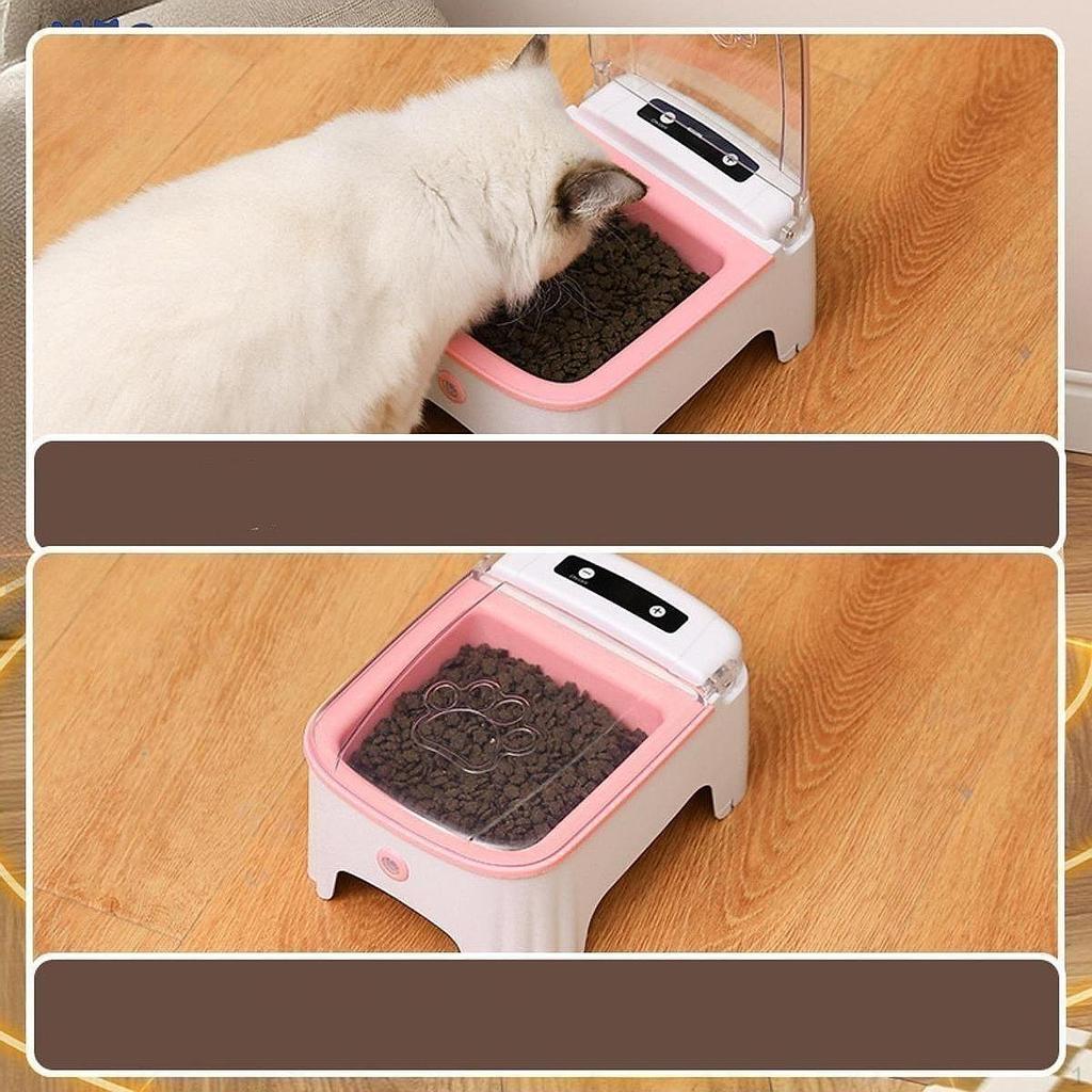 Automatic Timed Cat Feeder Auto Open and Close Lid Puppy Food Dispenser for Dry Indoor Cats